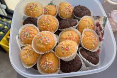 Gehschule-SHG-7 Gehschule-SHG-7